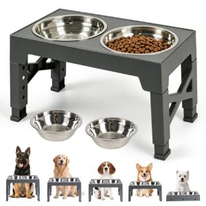 Heeyoo Adjustable Height Large Plastic Elevated Bowl with 2 Stainless Steel Dog Bowls for Dogs, Gray